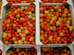 How To Ripen Raw Tomato